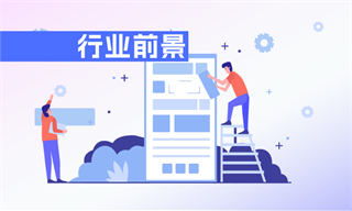 场竞争格局前景趋势(3)_经济学人-前瞻网AG真人平台产经分析_产业发展现状分析_市(图16)